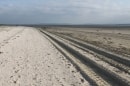 Baie de Somme